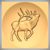 Elk 4