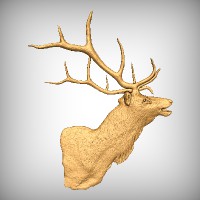 Elk Head 2