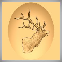 Elk Head 2