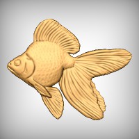 Ryukin Goldfish