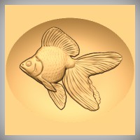 Ryukin Goldfish