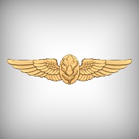 Flight Surgeon Wings