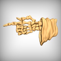 Skeleton Hand Pointer
