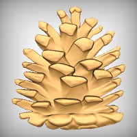 Pinecone