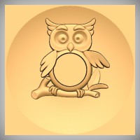 Owl Frame