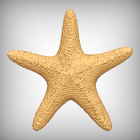 Starfish