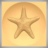 Starfish