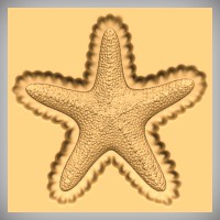 Starfish