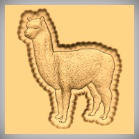 Alpaca 1