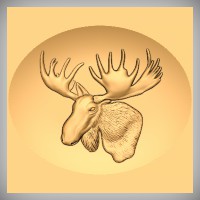 Moose Head 2