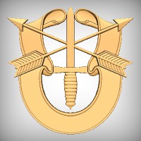 Special Forces Emblem