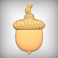 Acorn