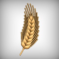 Stylized Barley