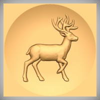 Deer 4