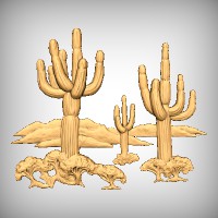 Saguaro Scene