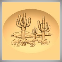 Saguaro Scene