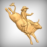 Bull Rider 2