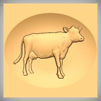 Cow 3