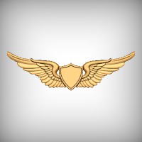 Military Wings 2