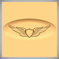 Military Wings 2