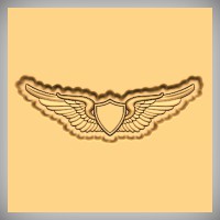 Military Wings 2