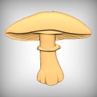 Toadstool