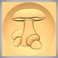 Mushroom Group