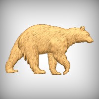 Bear 3