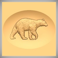 Bear 3