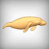 Manatee 2