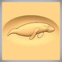 Manatee 2