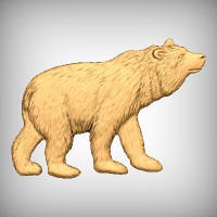 Bear 4