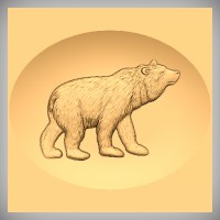 Bear 4