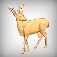 Deer 6