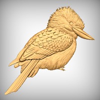 Kookaburra