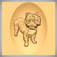 W. Highland Terrier 2