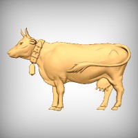 Cow 4