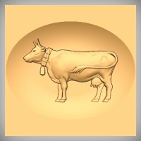 Cow 4