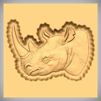 Rhino Head