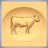 Cow 5