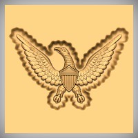 US Civil War Eagle 1C