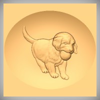 Golden Retriever Puppy 2