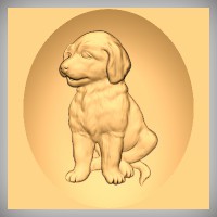 Golden Retriever Puppy 1