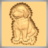 Golden Retriever Puppy 1