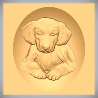 Golden Retriever Puppy 3