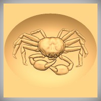 Crab 2