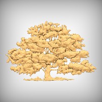 Colusa Tree
