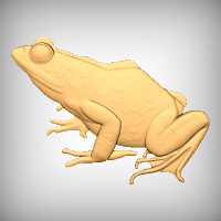 Bullfrog