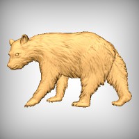 Bear 5