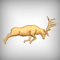 Elk 7